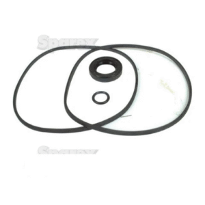 Seal Kit (Hydraulic Pump) | Sparex Part No.S.57972?0.15 kg
