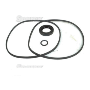 Seal Kit (Hydraulic Pump) | Sparex Part No.S.57972?0.15 kg