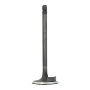 Inlet Valve | Sparex Part No.S.62056?0.11 kg